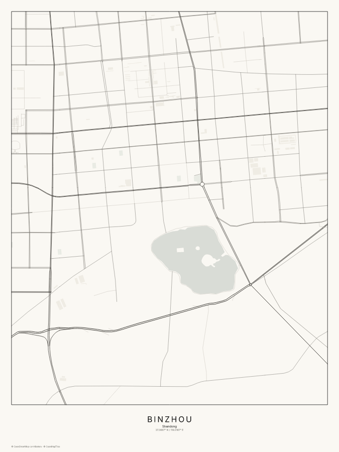 Binzhou map poster, classic style