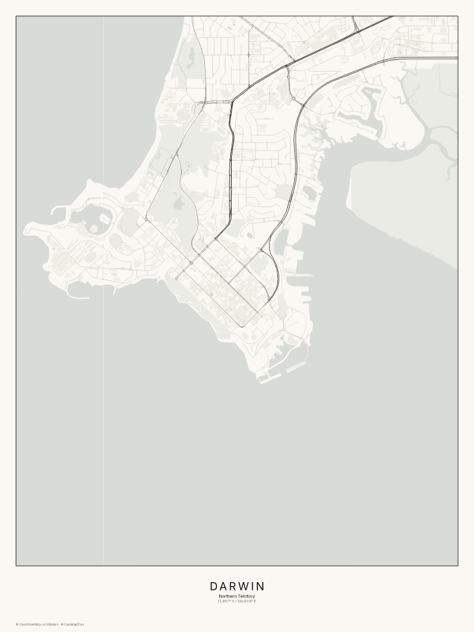 Darwin map poster, classic style