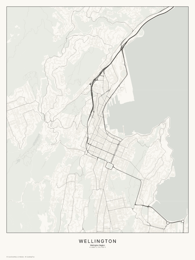 Wellington map poster, classic style
