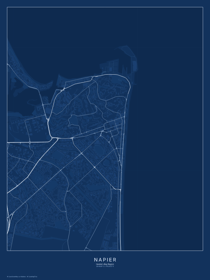 Napier map poster, blueprint style