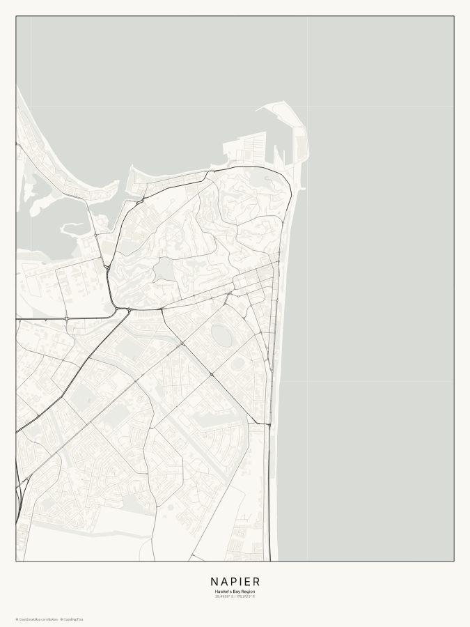 Napier map poster, classic style