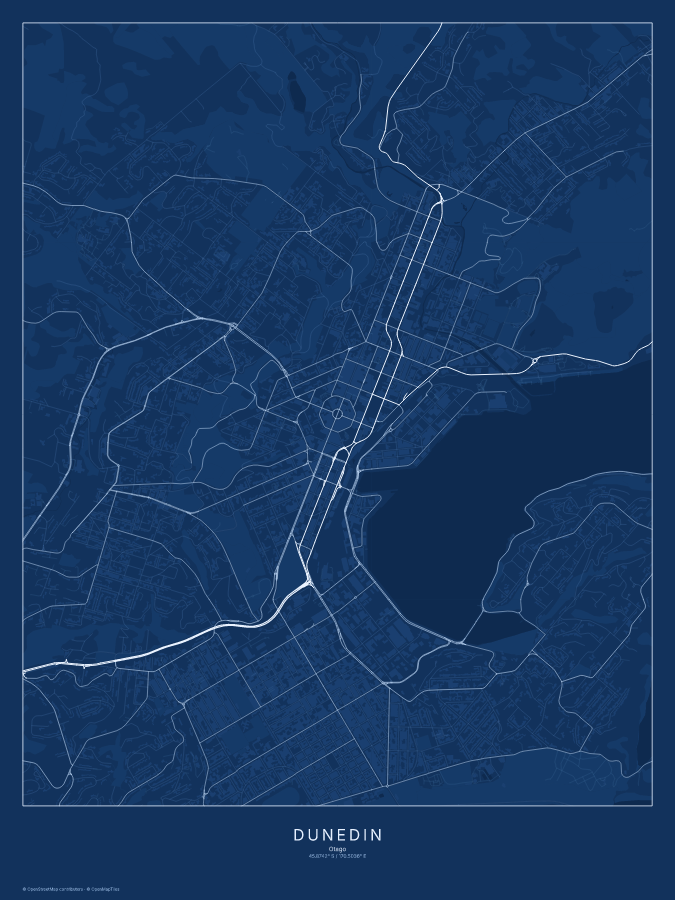 Dunedin map poster, blueprint style