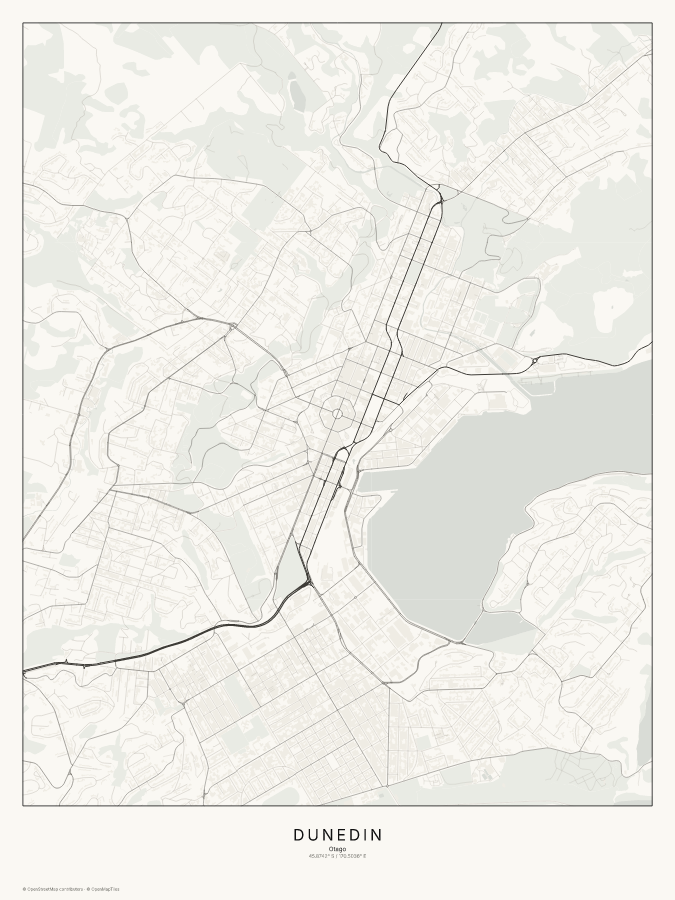 Dunedin map poster, classic style