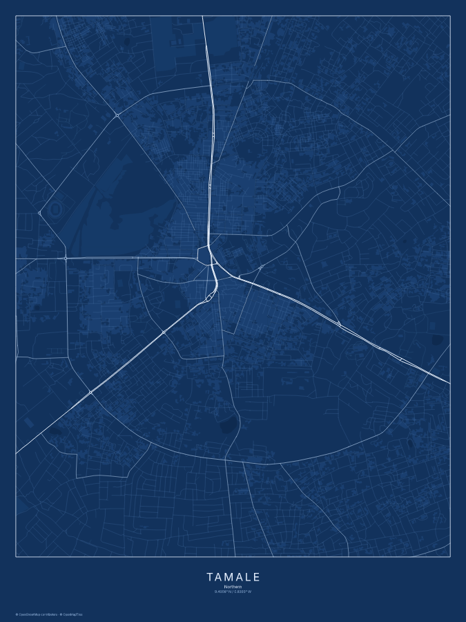 Tamale map poster, blueprint style