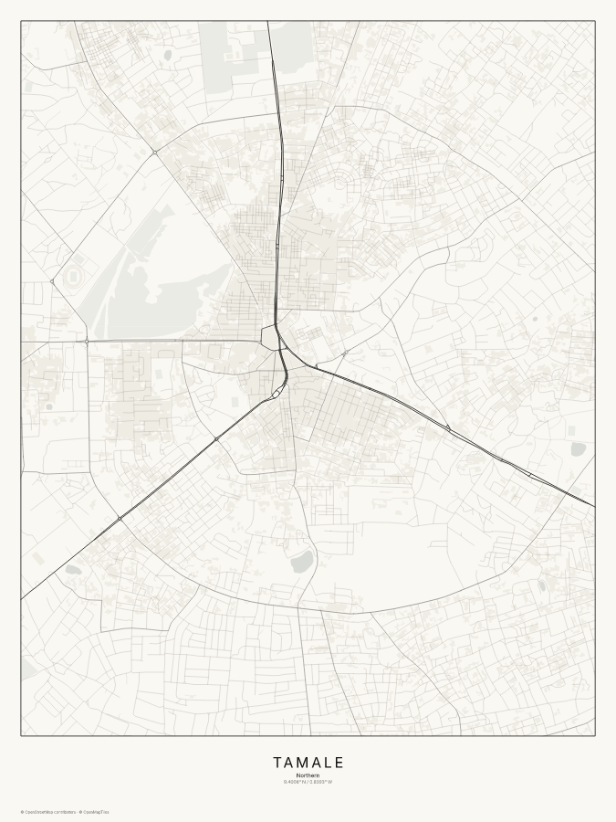Tamale map poster, classic style