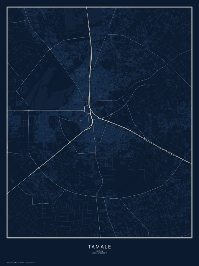 Tamale map poster, midnight style