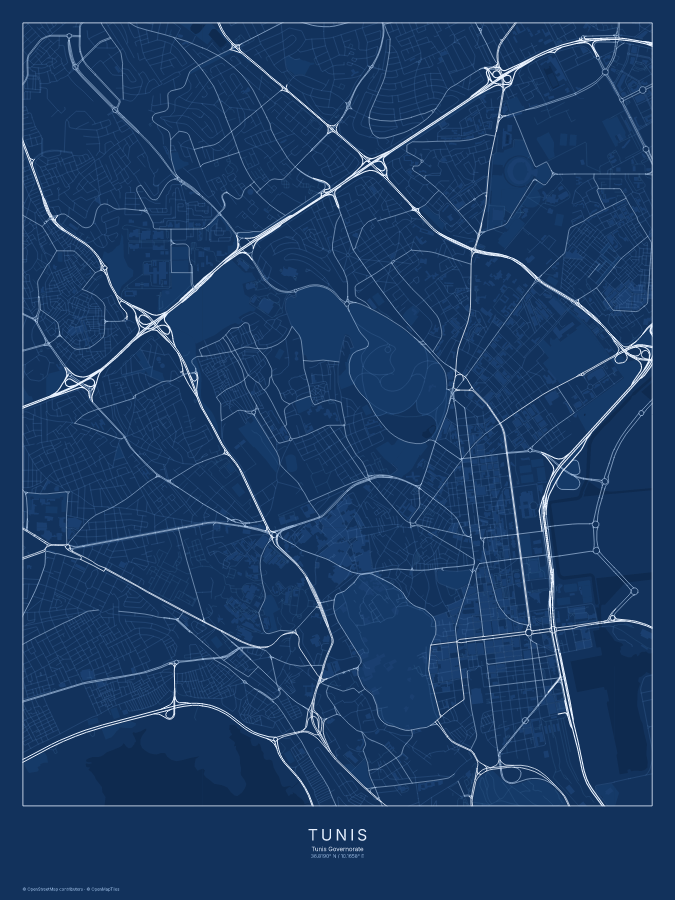 Tunis map poster, blueprint style