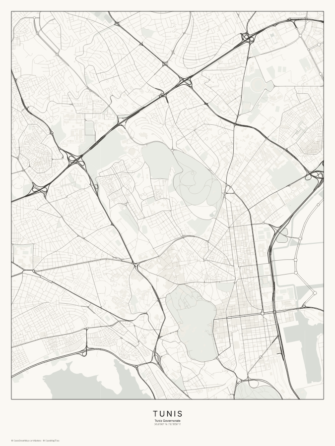 Tunis map poster, classic style