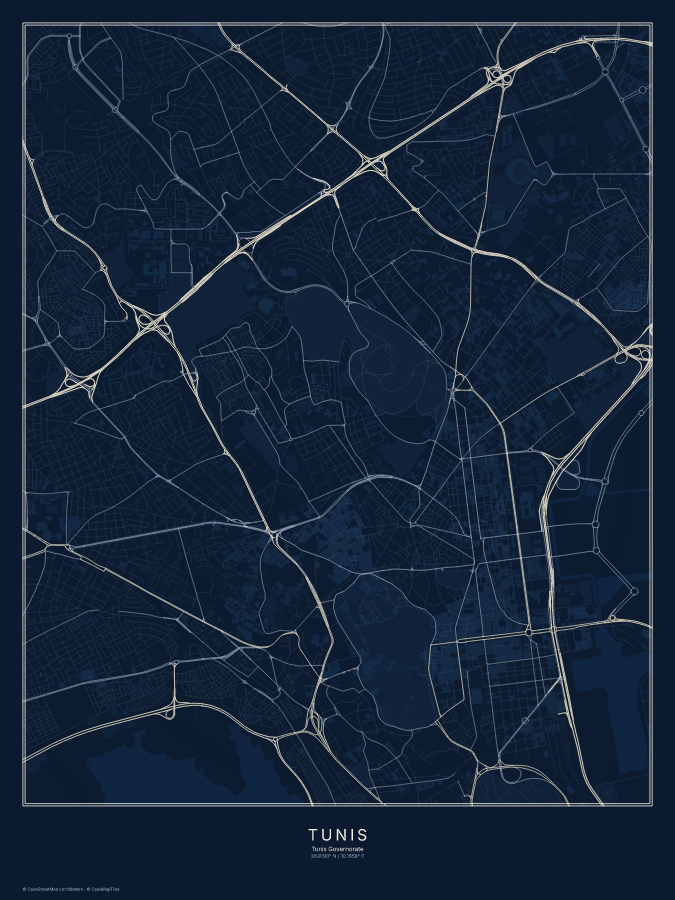 Tunis map poster, midnight style