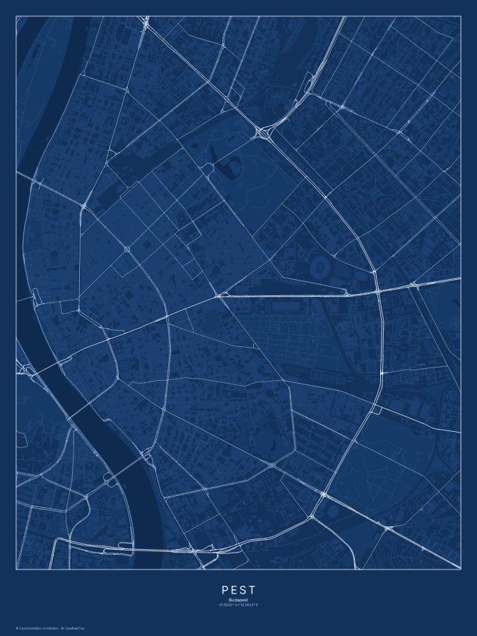 Pest map poster, blueprint style