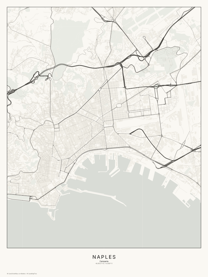 Naples map poster, classic style