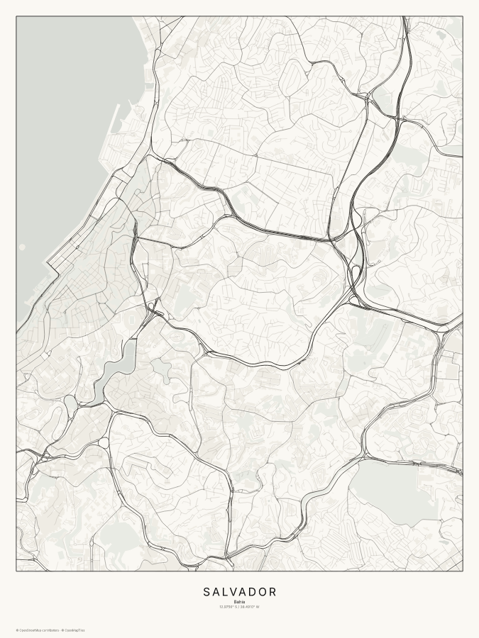 Salvador map poster, classic style