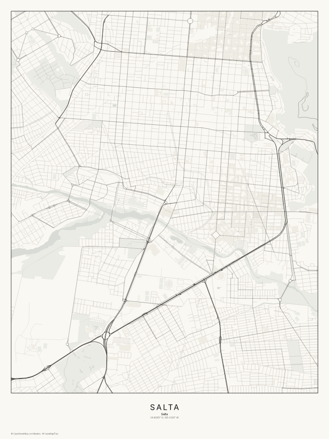 Salta map poster, classic style