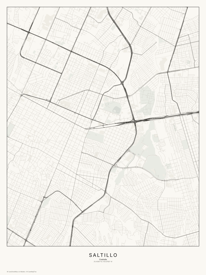 Saltillo map poster, classic style
