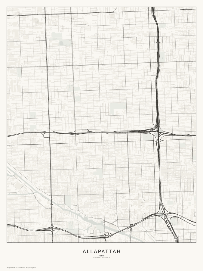 Allapattah map poster, classic style