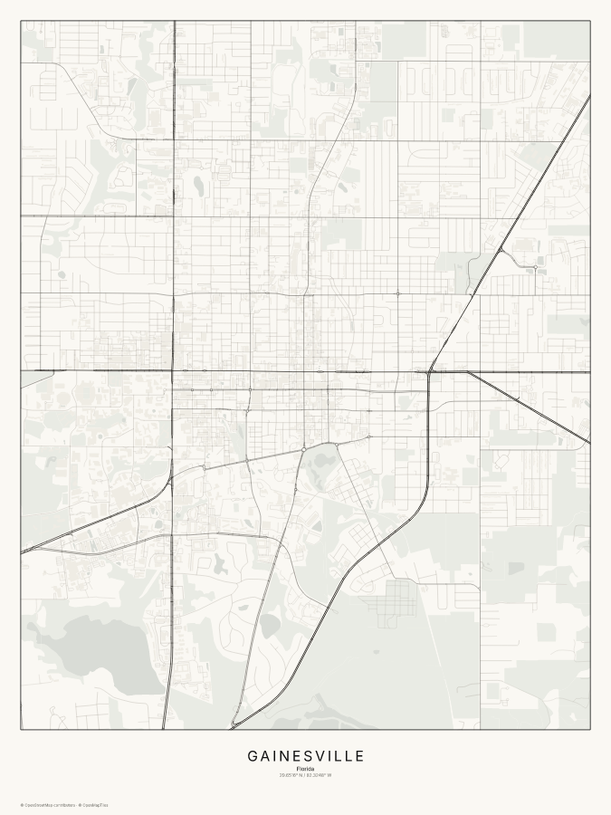 Gainesville map poster, classic style