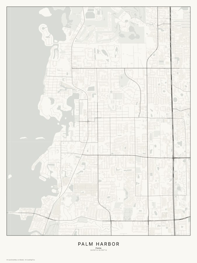 Palm Harbor map poster, classic style