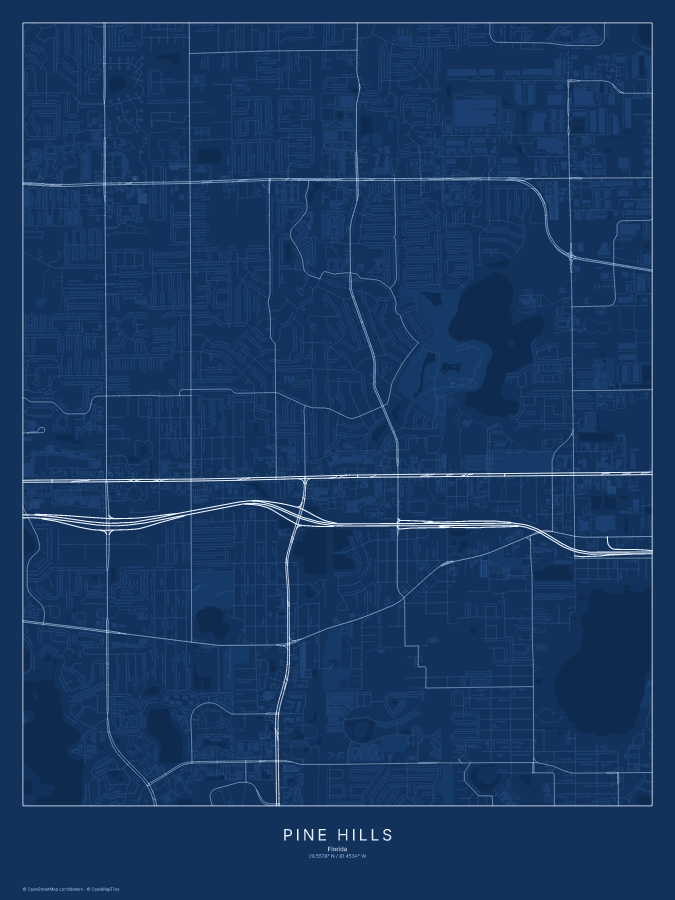 Pine Hills map poster, blueprint style