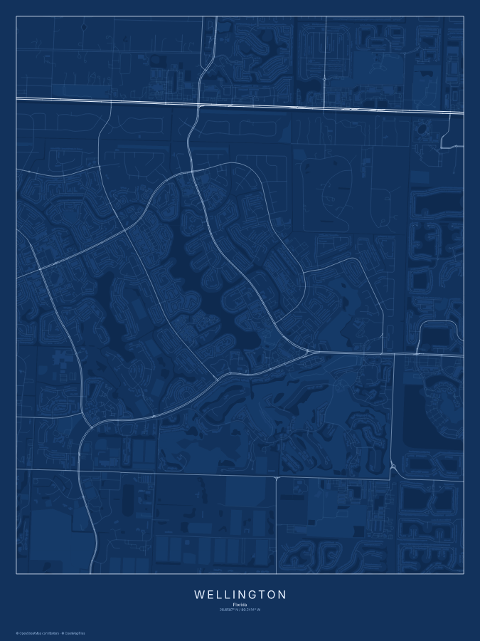 Wellington map poster, blueprint style