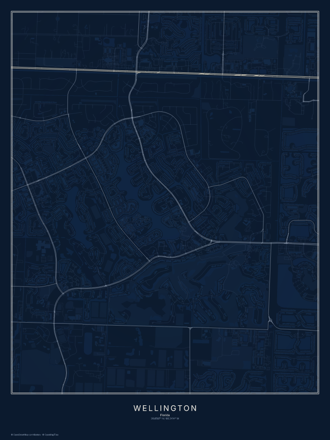 Wellington map poster, midnight style