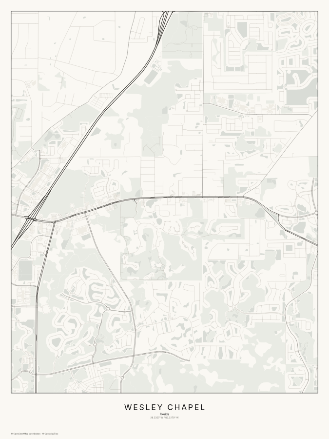 Wesley Chapel map poster, classic style