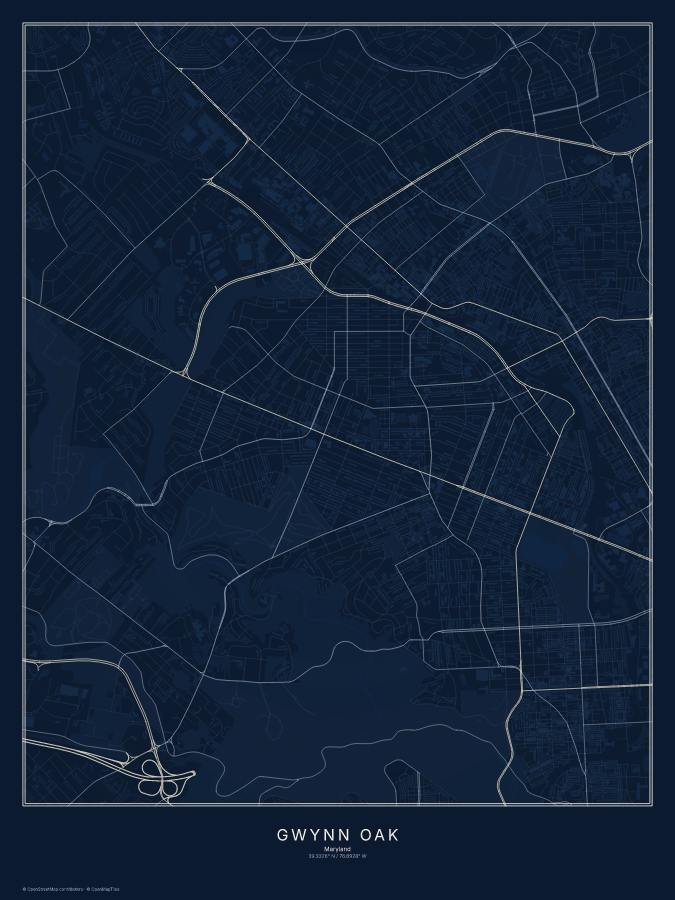 Gwynn Oak map poster, midnight style