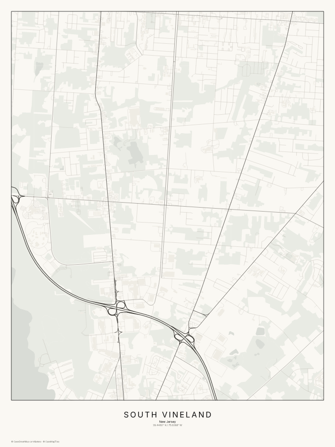 South Vineland map poster, classic style