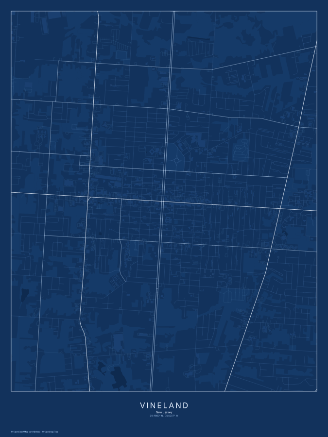 Vineland map poster, blueprint style