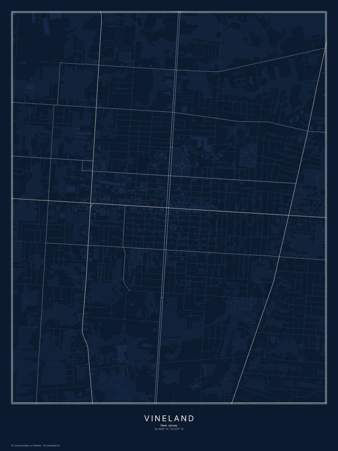 Vineland map poster, midnight style