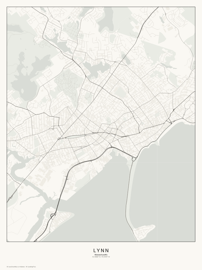 Lynn map poster, classic style