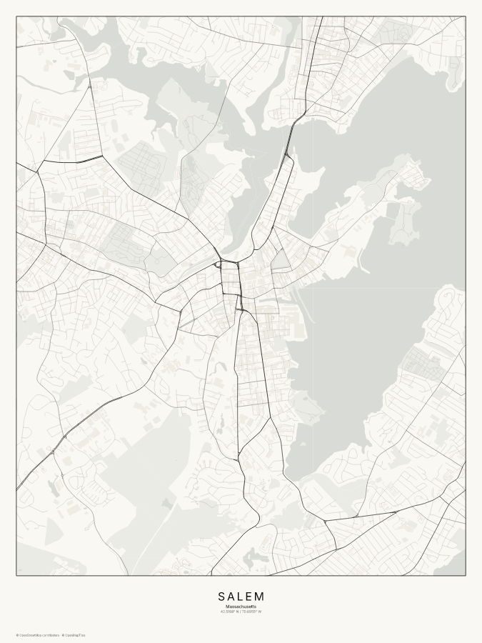 Salem map poster, classic style