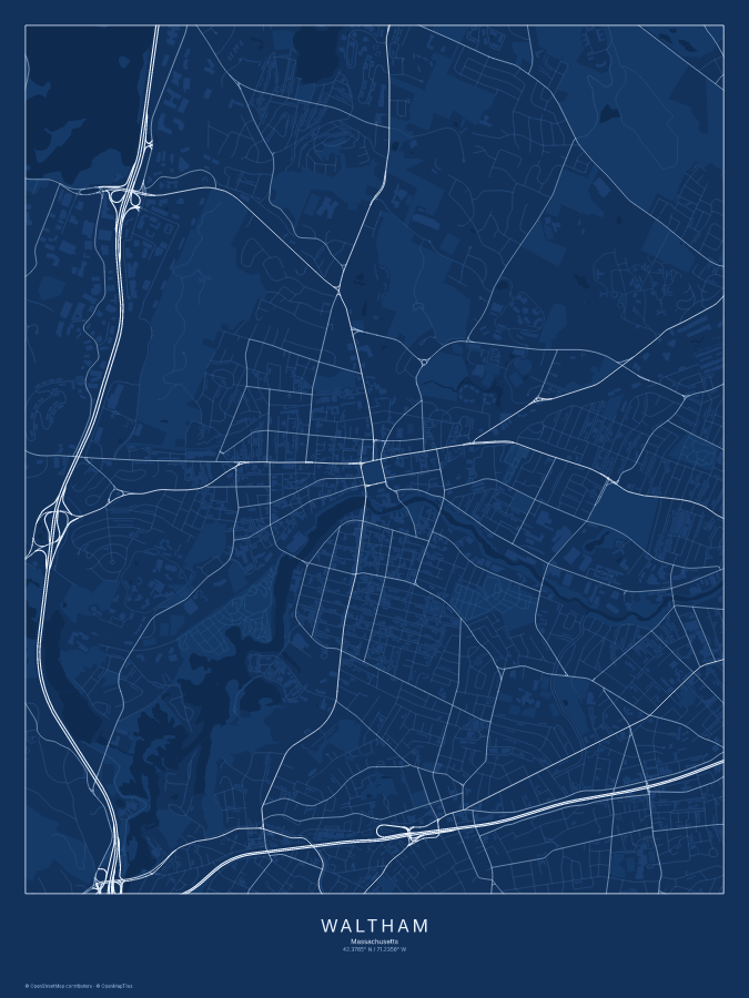 Waltham map poster, blueprint style