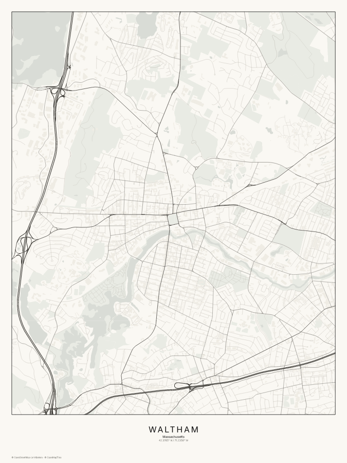 Waltham map poster, classic style