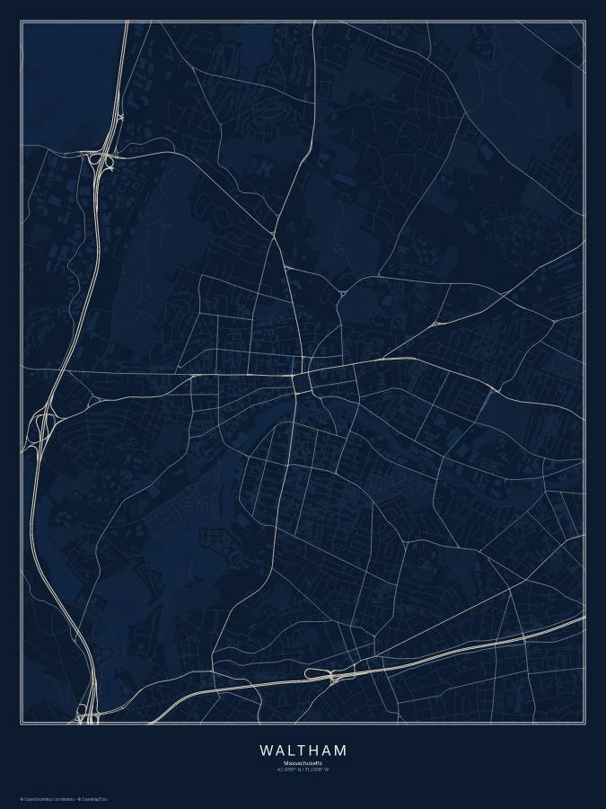 Waltham map poster, midnight style