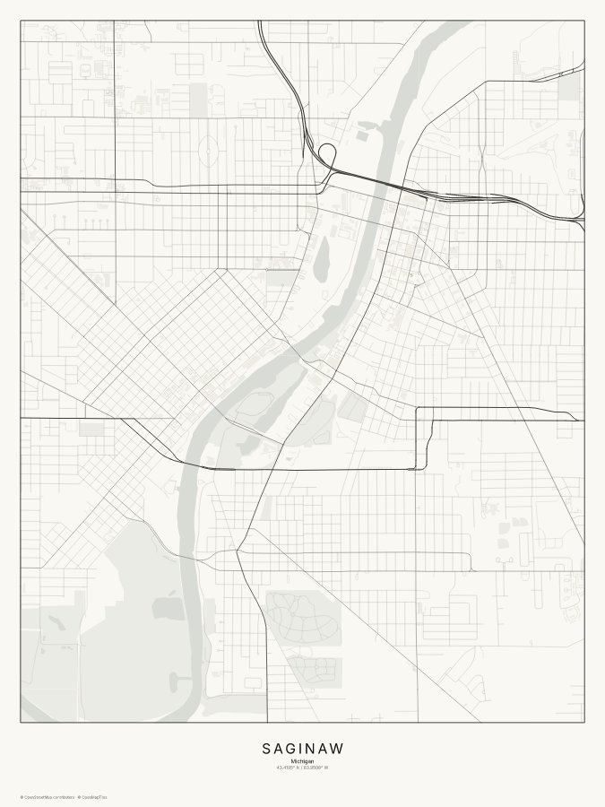 Saginaw map poster, classic style
