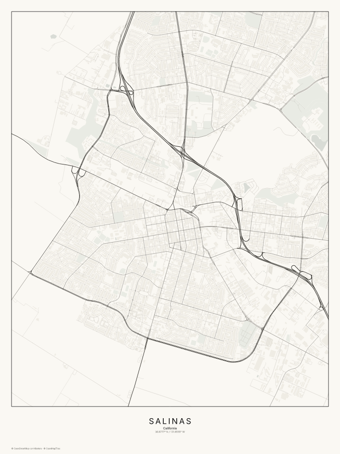 Salinas map poster, classic style