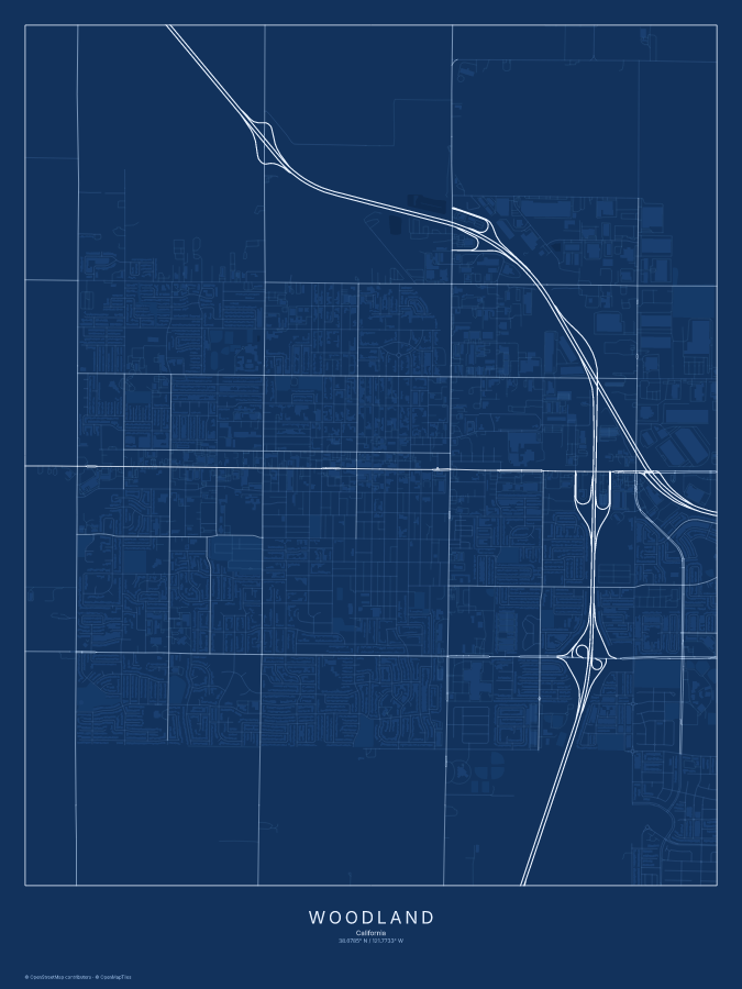 Woodland map poster, blueprint style