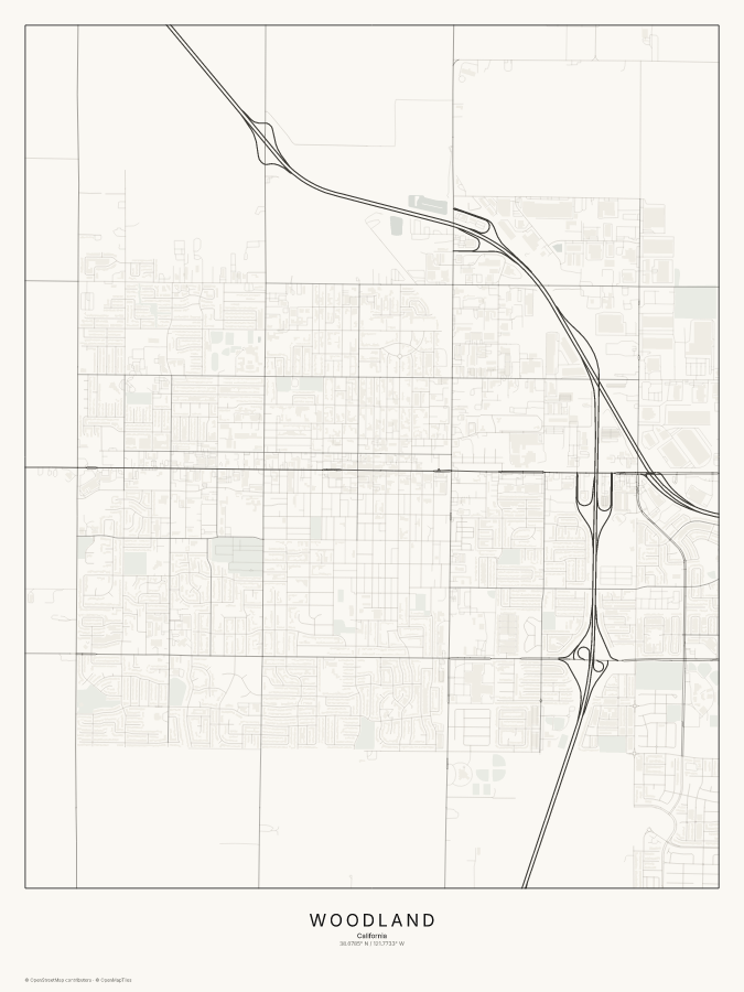 Woodland map poster, classic style