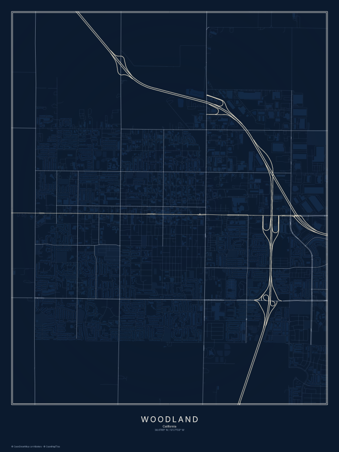 Woodland map poster, midnight style