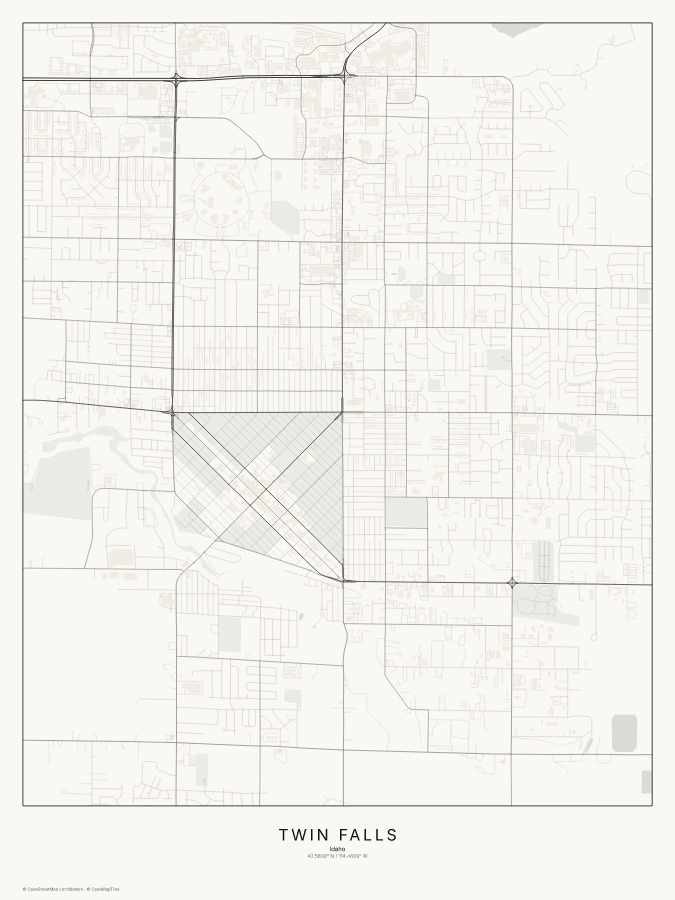 Twin Falls map poster, classic style