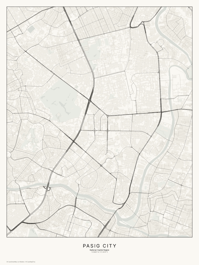 Pasig City map poster, classic style